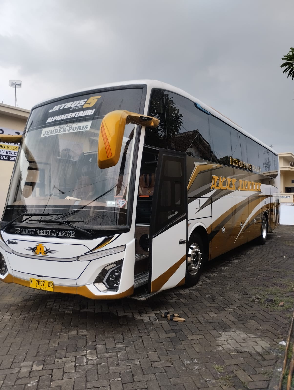 AF 005 / ALPHACENTAURI-HINO-RM8JSLU-QJJ